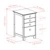 Winsome Studio File Cabinet, 4 Drawers, 29” Tall, 18” Wide, 20” Deep, Honey